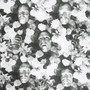 The Lovers - The Legendary Pink Dots 