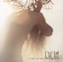 A Day In The Stark Corner - Lycia