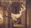 Signify - Porcupine Tree