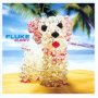 Puppy - Fluke