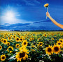 Thank You-Best Of - Stone Temple Pilots