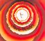 Songs In The Key Of Life - Stevie Wonder