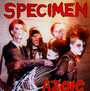 Azoic - Specimen