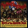 Music Never Stopped - Tribute to Grateful Dead
