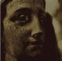 Stand With The Stillness - Elizabeth Anka Vajagic 