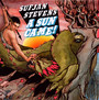A Sun Came - Sufjan Stevens