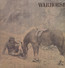 Warhorse - Warhorse