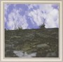 Somnia - Greg Davis