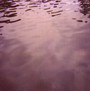 We Move Through Weathers - Tarentel