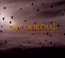 The Gathering Wilderness - Primordial