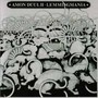 BBC Recordings - Amon Duul II