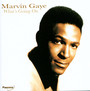 What's Going On - Marvin Gaye