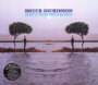 Skunkworks - Bruce  Dickinson 