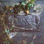 The Black Album - The Damned
