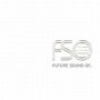 Fso - V/A