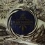 Call Of The Mastodon - Mastodon Call Of The Mastodon - Mastodon