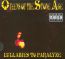 Lullabies To Paralyze - Queens Of The Stone Age