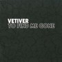 To Find Me Gone - Vetiver