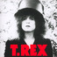 The Slider - T.Rex