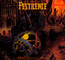 Mind Reflections - Pestilence