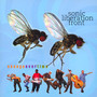 Change Over Time - Sonic Liberation Front