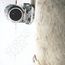 Sound Of Silver - LCD Soundsystem