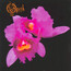 Orchid - Opeth