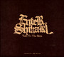 Take To The Skies - Enter Shikari