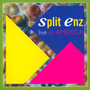 Concert Classics - Split Enz