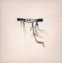 In Our Nature - Jose Gonzalez