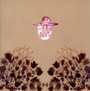 Smokey Rolls Down Thunder Canyon - Devendra Banhart