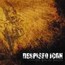 The Healing Process - Despised Icon