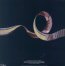 Tales Of Mystery & Imagination - Alan Parsons  -Project-