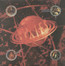 Bossanova - The Pixies Bossanova - The Pixies