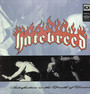 Satisfaction Is The Death Of Desire - Hatebreed