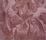 Innocence & Instinct - Red   