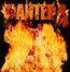 Reinventing The Steel - Pantera