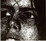 Summer Of Hate - Crocodiles