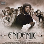 Terminal Illness - Endemic
