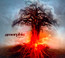 Skyforger - Amorphis