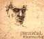 A Journey's End - Primordial
