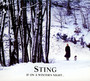 If On A Winter's Night - Sting