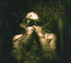 The Codex Necro - Anaal Nathrakh