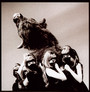 I Cut Like A Buffalo - The Dead Weather 