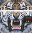 This Is War - 30 Seconds To Mars   