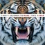 This Is War - 30 Seconds To Mars   