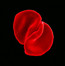 Scratch My Back - Peter Gabriel