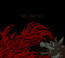 Times Of Grace - Neurosis