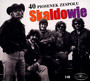 40 Piosenek Zespołu Skaldowie - Skaldowie