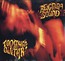 Too Much Guitar - Reigning Sound Too Much Guitar - Reigning Sound